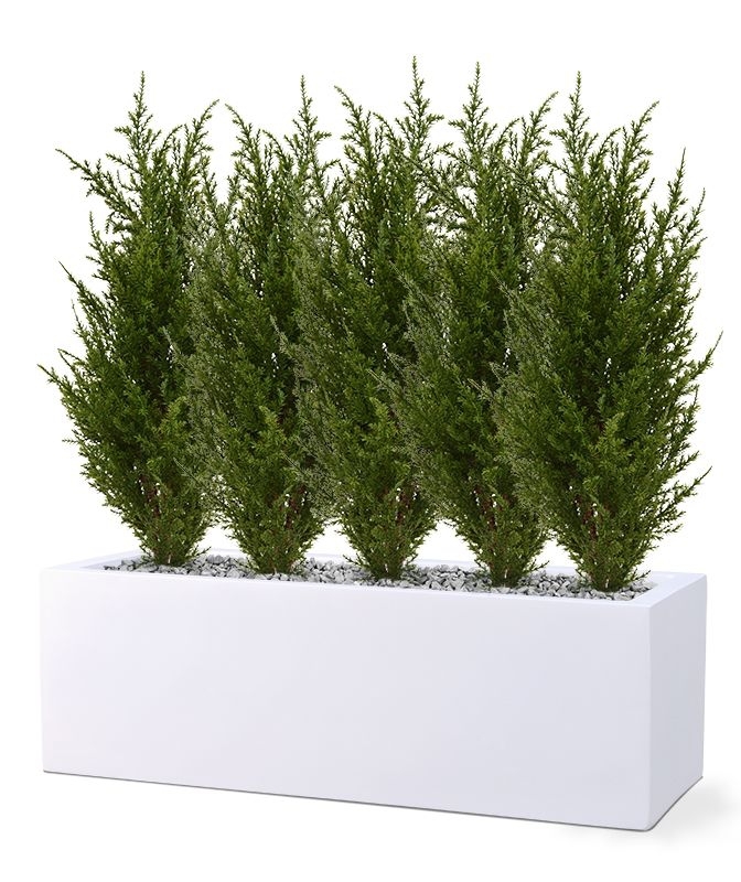 Pianta artificiale di conifera 50 cm