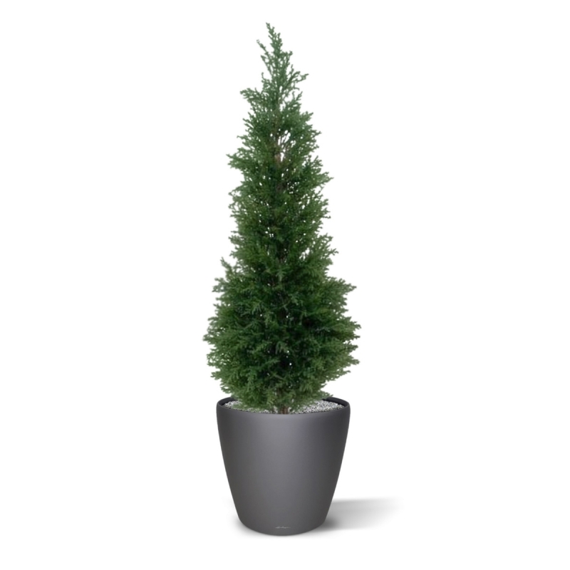 Pianta artificiale di conifera deluxe 120 cm - resistente ai raggi UV