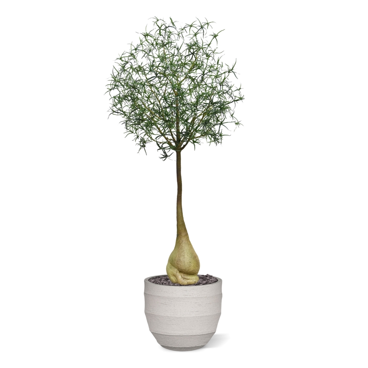 Albero artificiale Brachychiton Bottle 240 cm