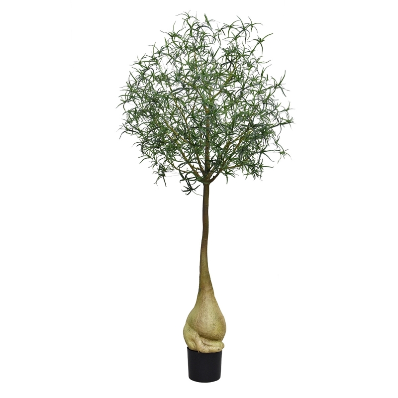 Albero artificiale Brachychiton Bottle 240 cm