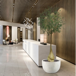 Albero artificiale Brachychiton Bottle 240 cm