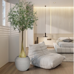 Albero artificiale Brachychiton Bottle 240 cm