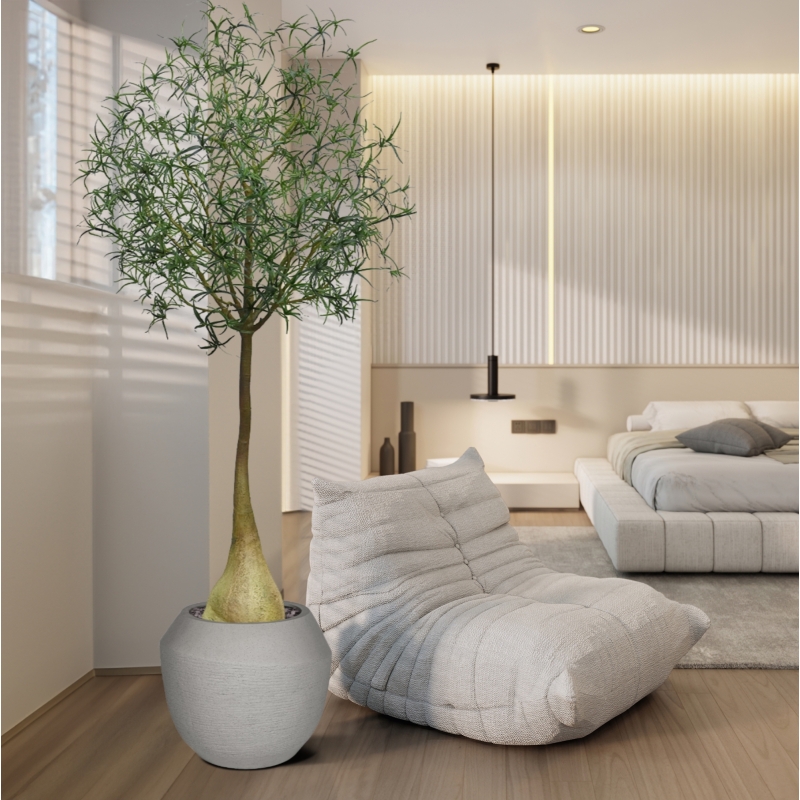 Albero artificiale Brachychiton Bottle 240 cm