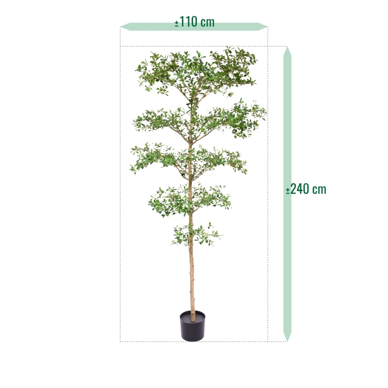 Bucida Buceras Artificiale 240cm NT verde