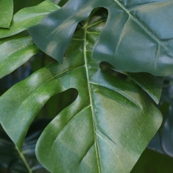 Monstera artificiale pianta Deluxe 120cm su tronco