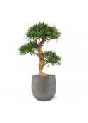Bonsai artificiale Podocarpus deluxe su base 65cm