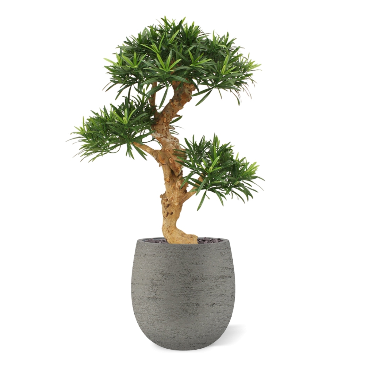 Bonsai artificiale Podocarpus deluxe su base 65cm