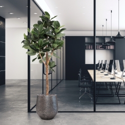 Albero artificiale Ficus Elastica Robusta Deluxe 200 cm