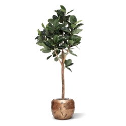 Albero artificiale Ficus Elastica Robusta Deluxe 200 cm