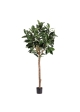 Albero artificiale Ficus Elastica Robusta Deluxe 230 cm