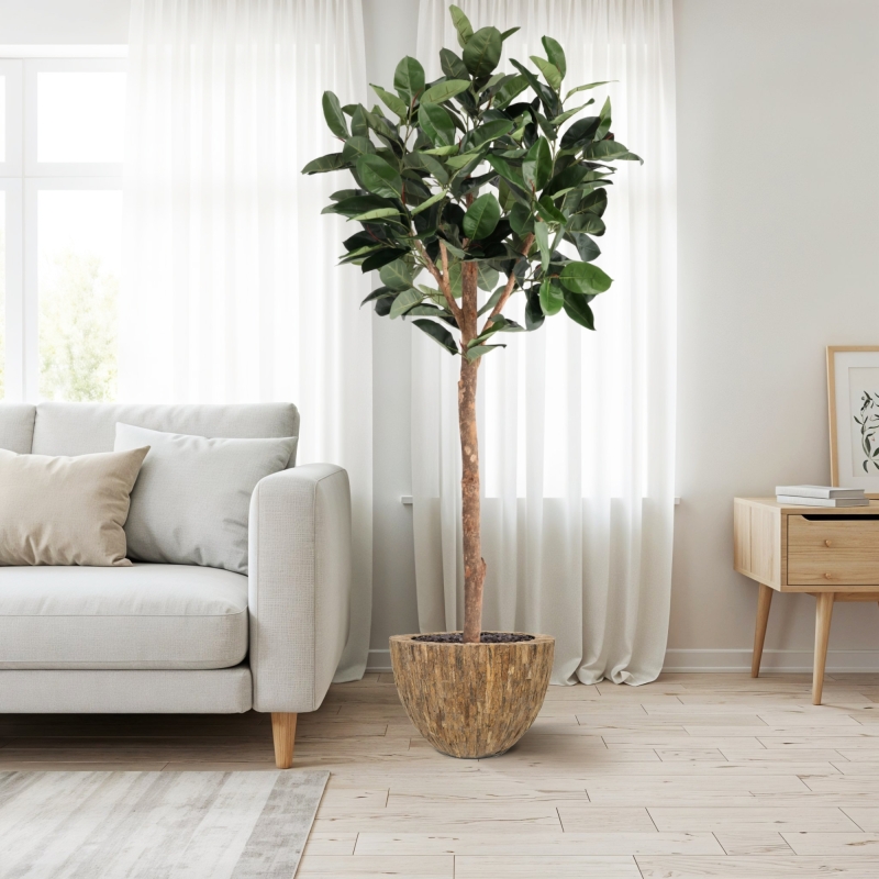 Albero artificiale Ficus Elastica Robusta Deluxe 230 cm