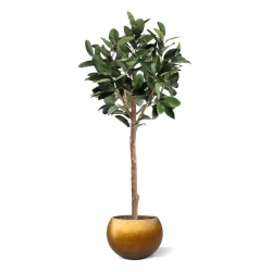 Albero artificiale Ficus Elastica Robusta Deluxe 230 cm