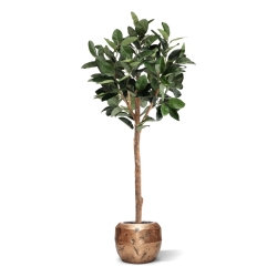 Albero artificiale Ficus Elastica Robusta Deluxe 230 cm