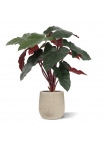 Artificiale Philodendron Pianta Deluxe 80cm Bordeaux