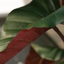 Artificiale Philodendron Pianta Deluxe 80cm Bordeaux