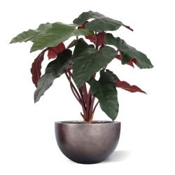 Artificiale Philodendron Pianta Deluxe 80cm Bordeaux