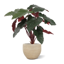 Artificiale Philodendron Pianta Deluxe 80cm Bordeaux