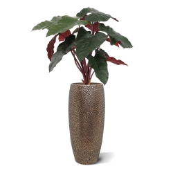 Artificiale Philodendron Pianta Deluxe 80cm Bordeaux