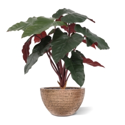 Artificiale Philodendron Pianta Deluxe 80cm Bordeaux