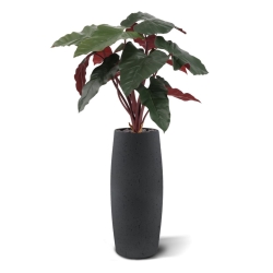 Artificiale Philodendron Pianta Deluxe 80cm Bordeaux