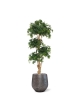 Albero artificiale Acer Bonsai deluxe 170 cm - verde
