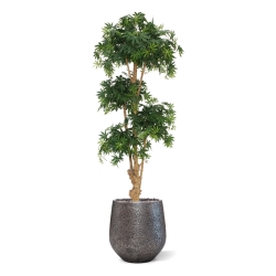 Albero artificiale Acer Bonsai deluxe 170 cm - verde