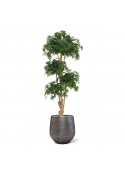 Albero artificiale Acer Bonsai deluxe 170 cm - verde