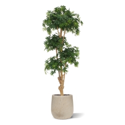Albero artificiale Acer Bonsai deluxe 170 cm - verde