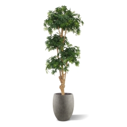 Albero artificiale Acer Bonsai deluxe 170 cm - verde