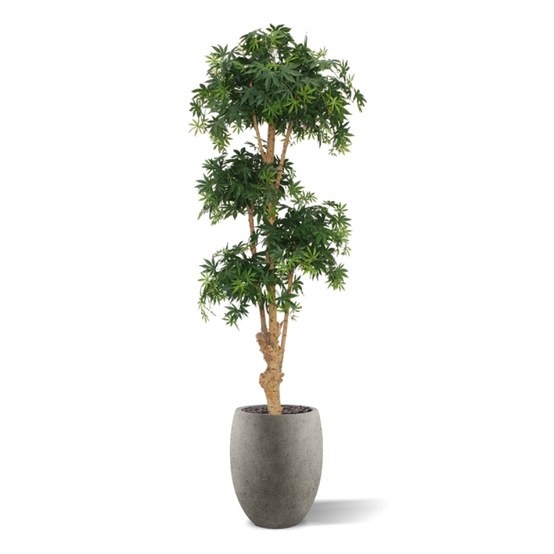 Albero artificiale Acer Bonsai deluxe 170 cm - verde