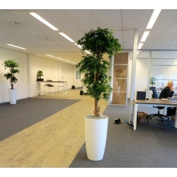 Albero artificiale Acer Bonsai deluxe 170 cm - verde