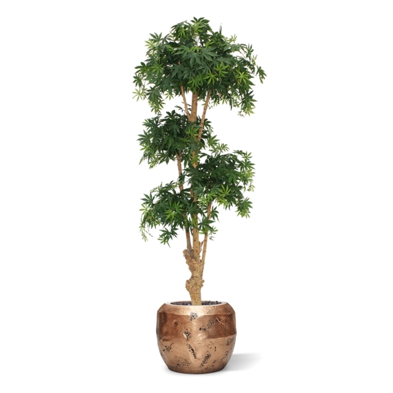 Albero artificiale Acer Bonsai deluxe 170 cm - verde