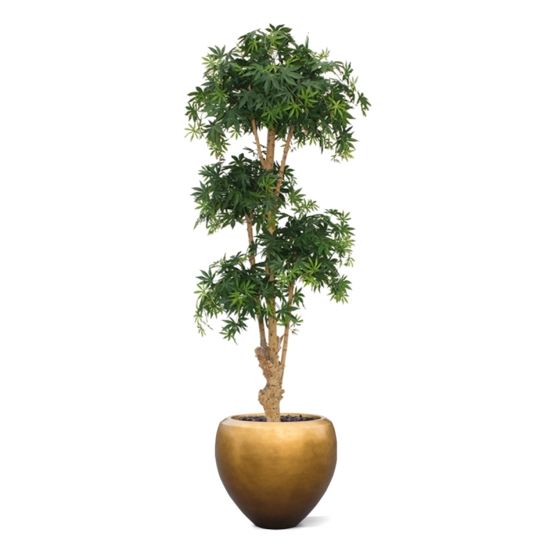Albero artificiale Acer Bonsai deluxe 170 cm - verde