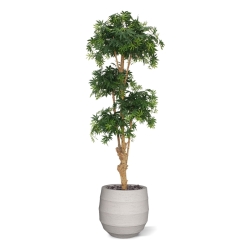 Albero artificiale Acer Bonsai deluxe 170 cm - verde