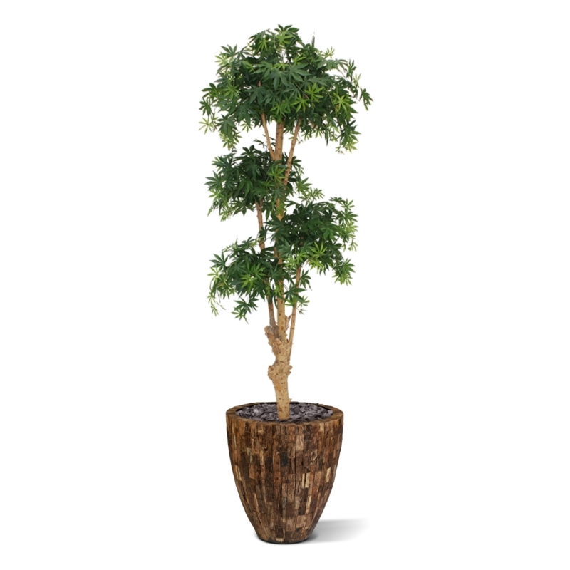 Albero artificiale Acer Bonsai deluxe 170 cm - verde