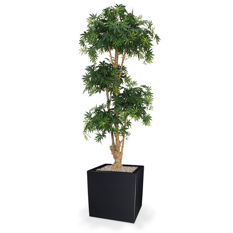 Albero artificiale Acer Bonsai deluxe 170 cm - verde