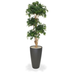 Albero artificiale Acer Bonsai deluxe 170 cm - verde