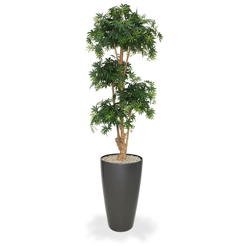 Albero artificiale Acer Bonsai deluxe 170 cm - verde