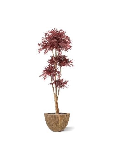 Albero Bonsai Acer Giapponese Deluxe Artificiale 210cm Borgogna