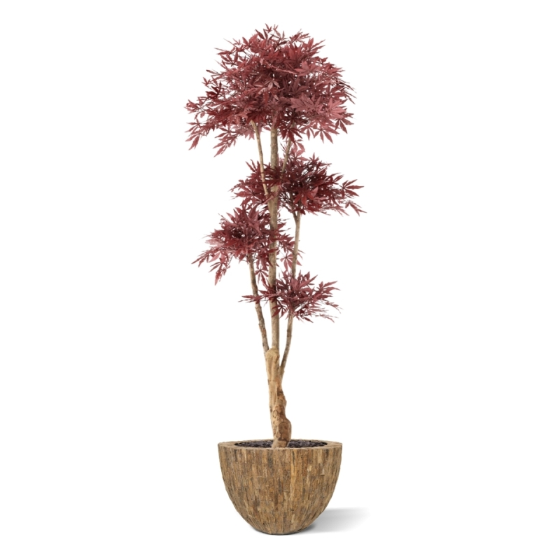 Albero Bonsai Acer Giapponese Deluxe Artificiale 210cm Borgogna