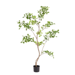 Albero artificiale Pittosporum 120 cm