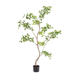 Albero artificiale Pittosporum 120 cm