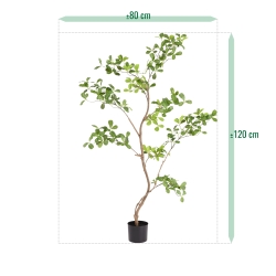 Albero artificiale Pittosporum 120 cm