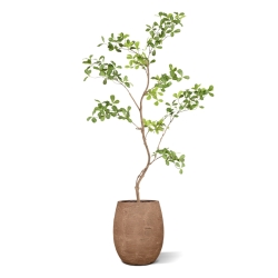 Albero artificiale Pittosporum 120 cm