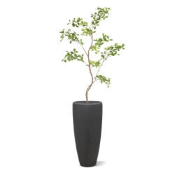 Albero artificiale Pittosporum 120 cm
