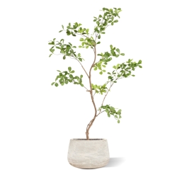 Albero artificiale Pittosporum 120 cm