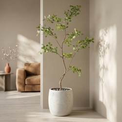Albero artificiale Pittosporum 120 cm