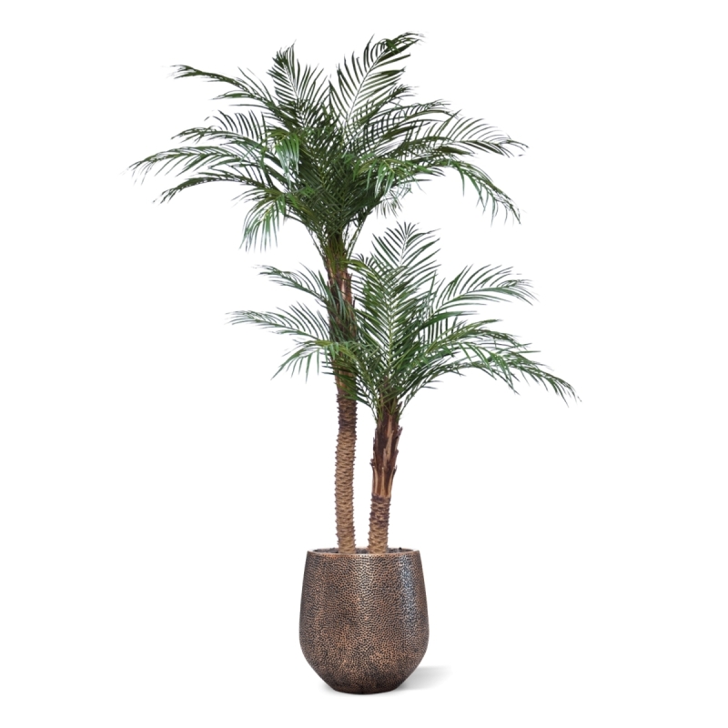 Palma Phoenix artificiale deluxe 225cm