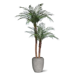 Palma Phoenix artificiale deluxe 225cm