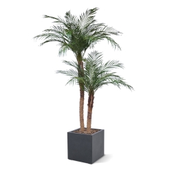 Palma Phoenix artificiale deluxe 225cm